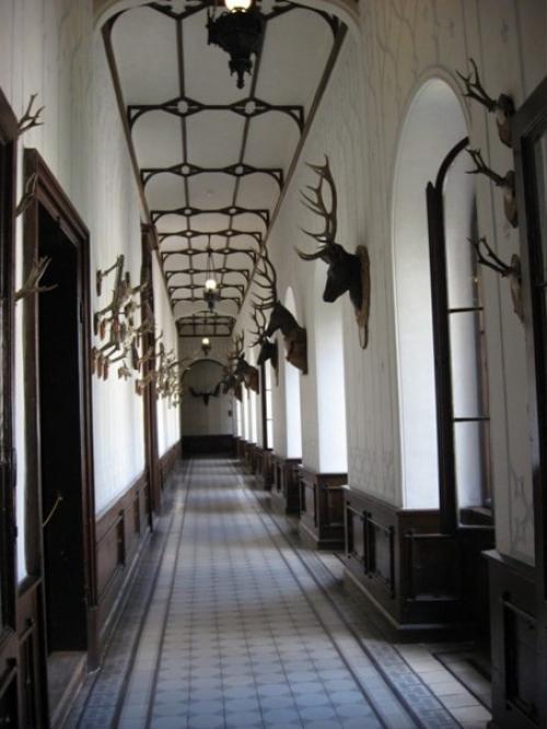 Ласточкино гнездо - визитная карточка Ялты и Крыма. 07