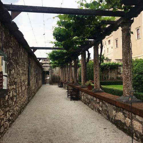 Тренто - очень милый городок в горах. 06