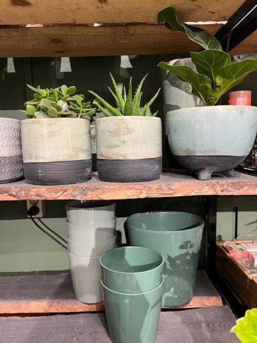 Мечта истинного эстета. 06