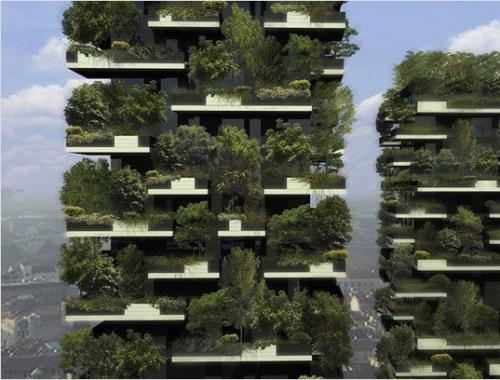 Как сделать вертикальный сад. 05