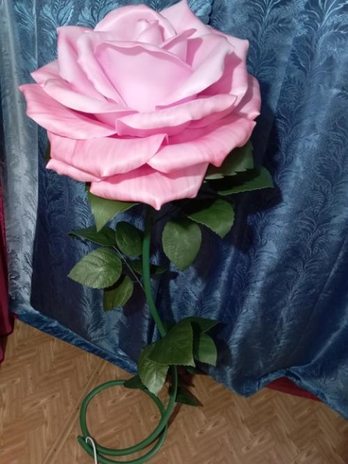 Здравствуйте. Меня зовут Мария. 06 Здравствуйте. Меня зовут Мария. 06