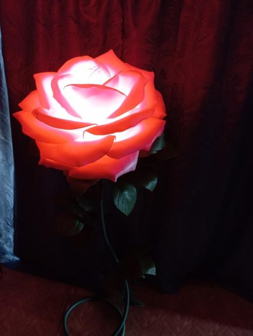 Здравствуйте. Меня зовут Мария. 07 Здравствуйте. Меня зовут Мария. 07