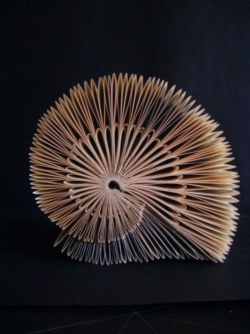 Раз неделя началась с улиток -.