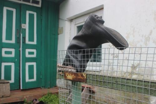 Поречье - рыбное или корабль в море хаоса. 08