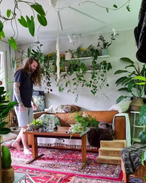 Самый эффективный способ создать в квартире климат городских джунглей - это наполнить интерьер растениями. 04