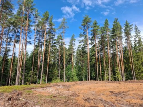 Непродумано используемые возможности - это лишь пустая трата времени. 07