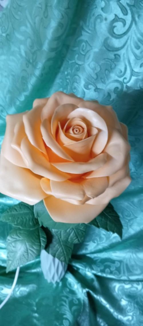 Здравствуйте. Меня зовут Мария. 05 Здравствуйте. Меня зовут Мария. 05