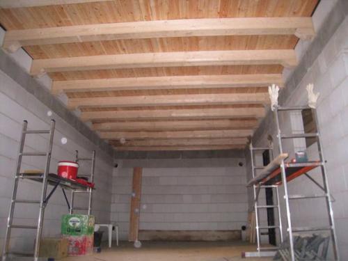 Гараж - чем крышу покрыть? 02