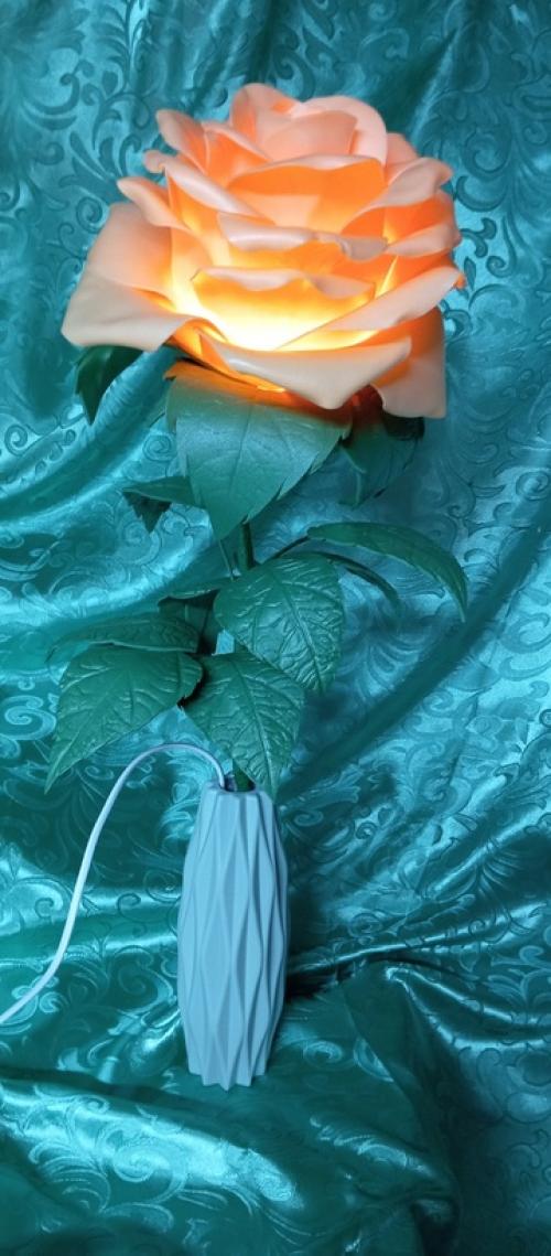 Здравствуйте. Меня зовут Мария. 04 Здравствуйте. Меня зовут Мария. 04