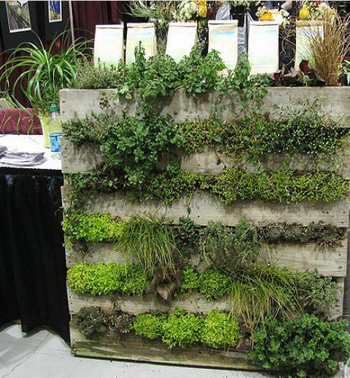 Как сделать вертикальный сад. 04