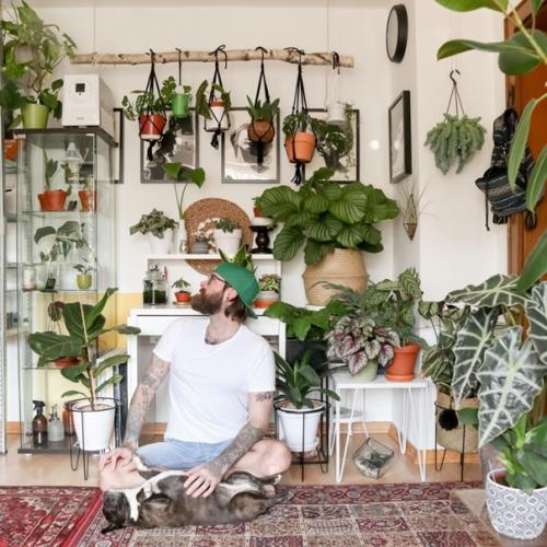 Самый эффективный способ создать в квартире климат городских джунглей - это наполнить интерьер растениями. 03