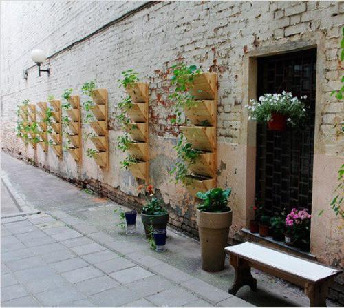 Как сделать вертикальный сад. 01