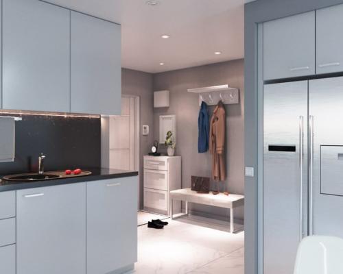 Проект: двухкомнатная квартира в Иркутске, ЖК Космический. 06