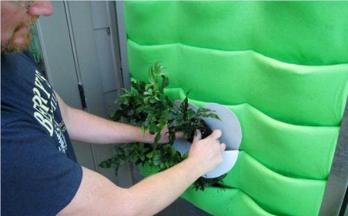 Как сделать вертикальный сад. 03