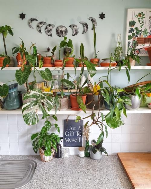 Самый эффективный способ создать в квартире климат городских джунглей - это наполнить интерьер растениями. 02