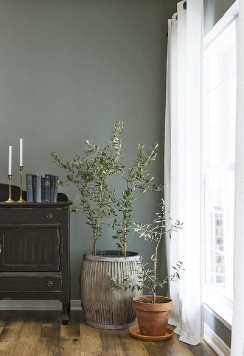 Альбом номер 2. олива. 03