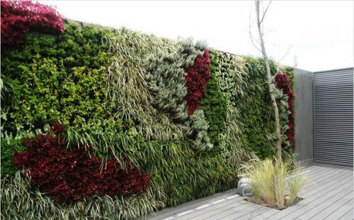 Как сделать вертикальный сад. 02