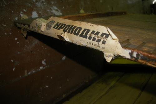 Заброшенный дом в пучуге, который со слов местных мог принадлежать одному из основателей пучужской росписи Иван чистиков, но это не точно. 03