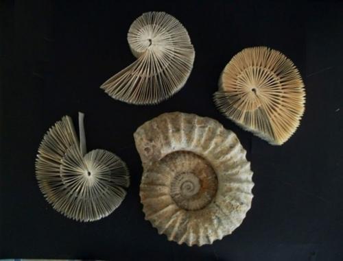 Раз неделя началась с улиток -. 03