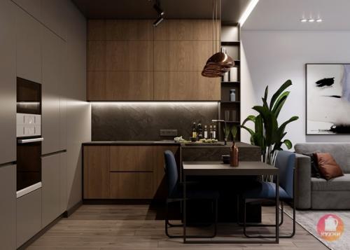 Современный стильный интерьер кухни - гостиной. 01