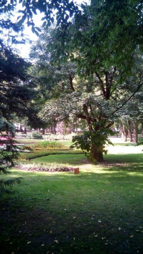 Экскурсия - Древний Город над Кручами Сожа. 02