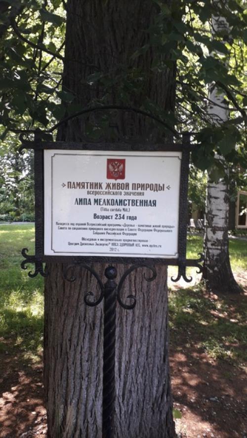 Мы, любители северной ходьбы при филиале РК цсон в рамках технологии Социальный Туризм, 04. 05