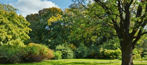 7 вариантов идеального романтического свидания в Москве. 04