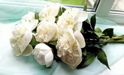 Пионы - символ аристократизма и власти. 07