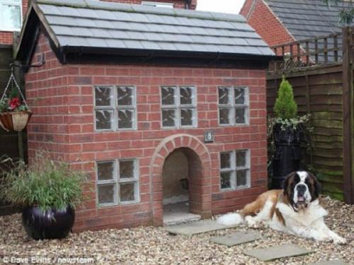 Домики для собак. 03