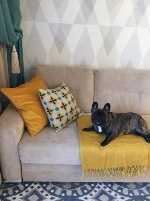 Подписчица нам свою гостинную присылала. 01