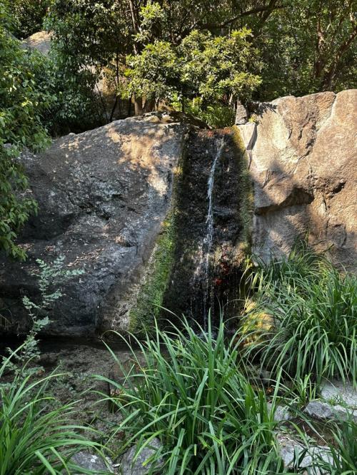 Живилюбитвори 2025. Крымялта. 06