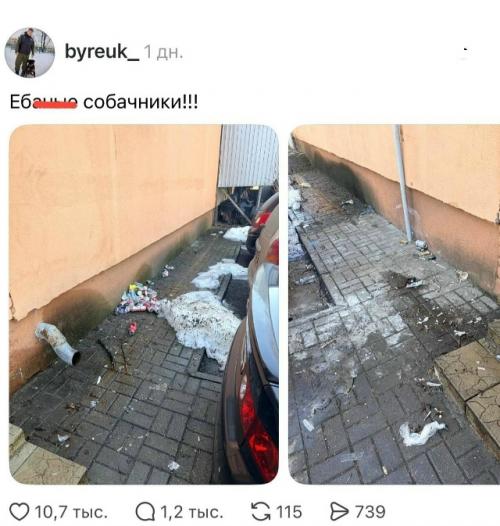 Пост с жалобой на мусор возле дома, в котором автор обвинил во всём 