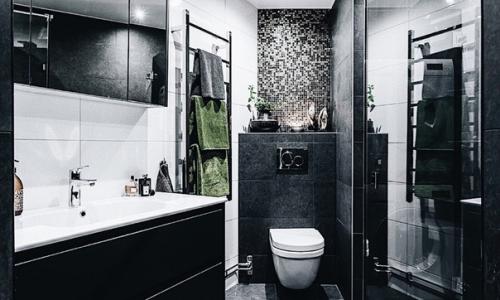 - s.  Интерьер квартиры в стиле слизеринки. 07