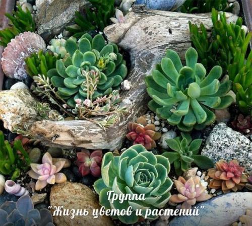 Рутарий в интерьере. 02