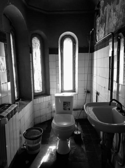 Замок шереметева.  Смесь французского с нижегородским или повесть о золотом унитазе. 07