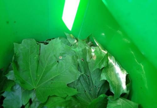 Сводки с полей: 01