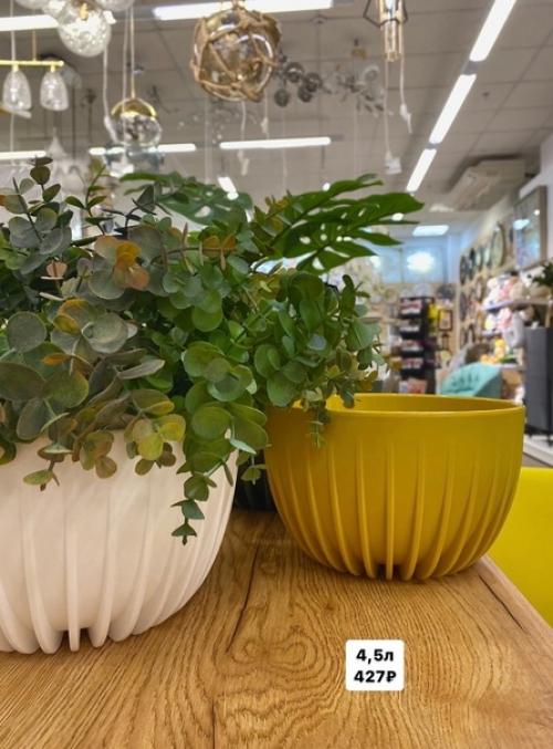 Сохраните частичку тепла и лета в вашем доме с этими стильными кашпо. 01