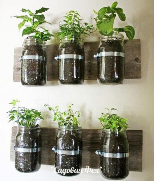 Как выращивать зелень и душистые травы на кухне. 03