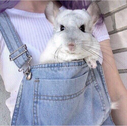 Как избежать осенней депрессии? 01