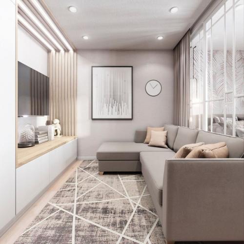 2 х - комнатная квартира с зонирование одной комнаты на гостиную - спальню (18 м. вторая комната - детская. 01