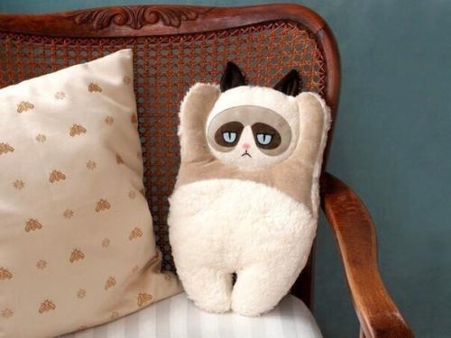 В нашем замечательном микрорайоне живет очень много соседей, которые любят животных!