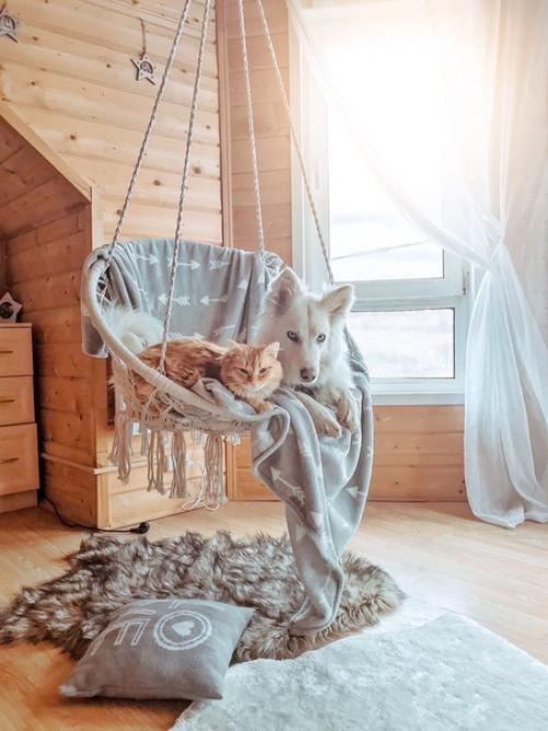 Вероника, понимаю, что вопрос может быть неуместный, но крайне болезненный для меня. 06