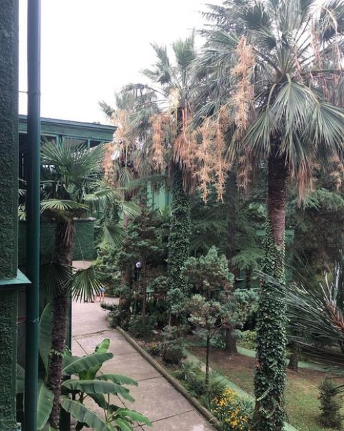 Я побывала на Даче Сталина в Сочи. 09