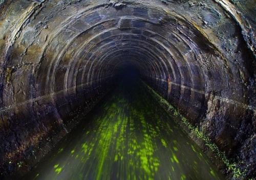 Самые интересные заброшенные места ленинградской области. 09