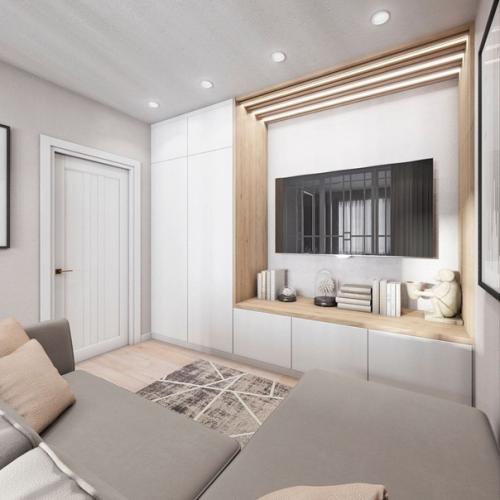 2 х - комнатная квартира с зонирование одной комнаты на гостиную - спальню (18 м. вторая комната - детская. 04