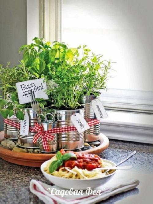 Как выращивать зелень и душистые травы на кухне. 01