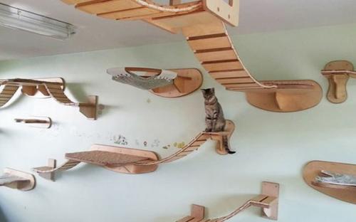 Рубрика: очумелые ручки. 02