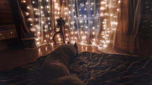 Вероника, понимаю, что вопрос может быть неуместный, но крайне болезненный для меня. 07