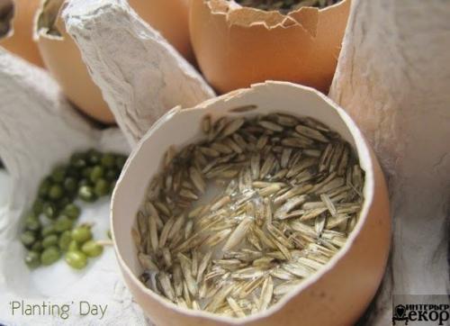 А вы уже таких смешных человечков вырастили? 05