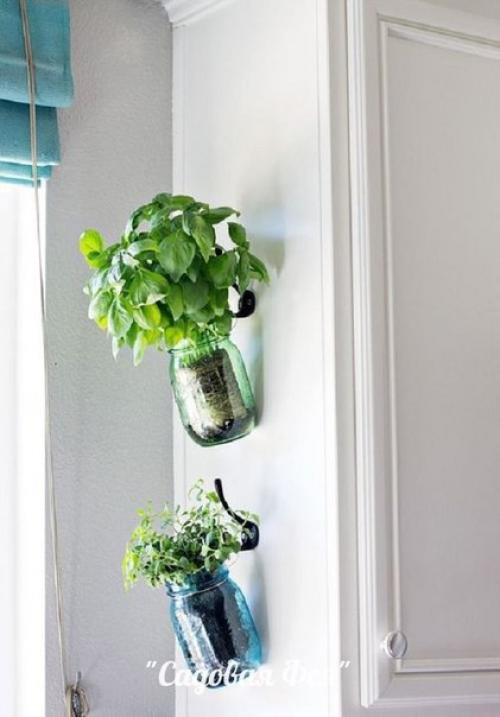 Как выращивать зелень и душистые травы на кухне. 07